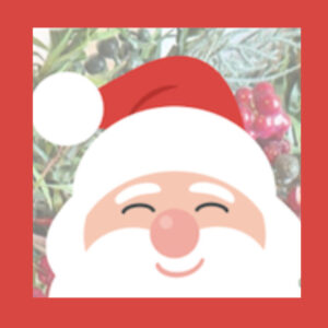 Santa Claus graphic