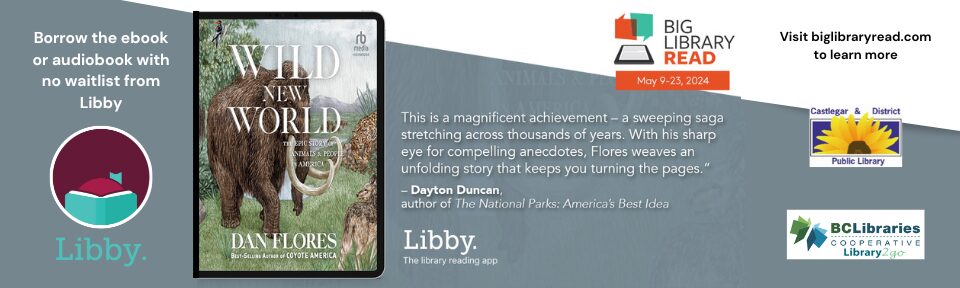 Libby Big Library Read May 2024