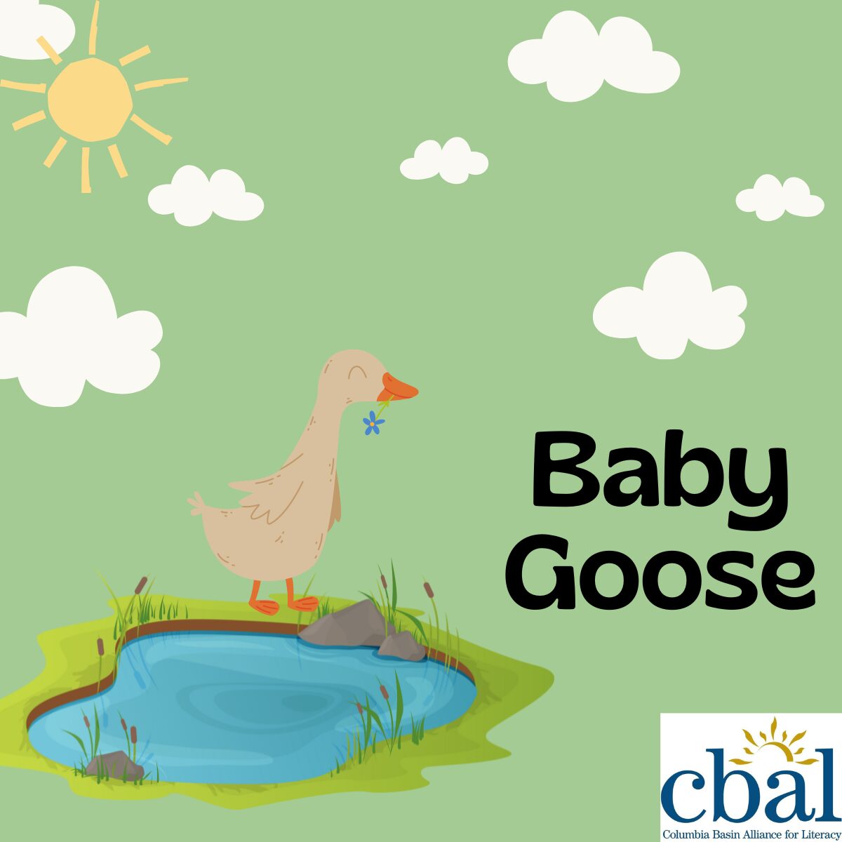 Baby Goose Icon - CBAL