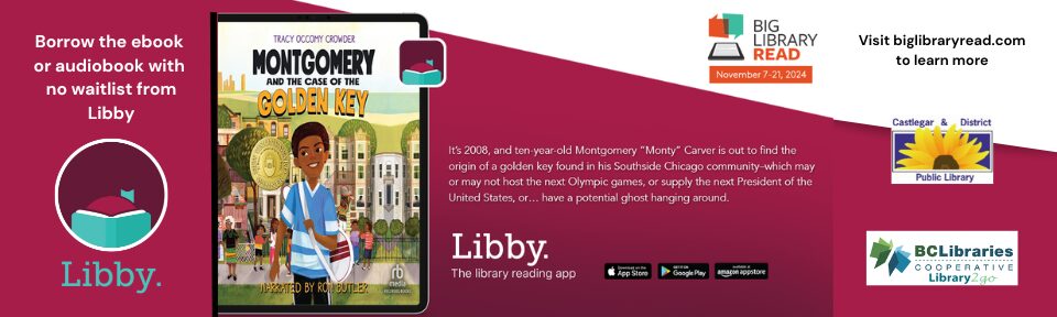 Libby Big Library Read November 2024(960 x 288 px)